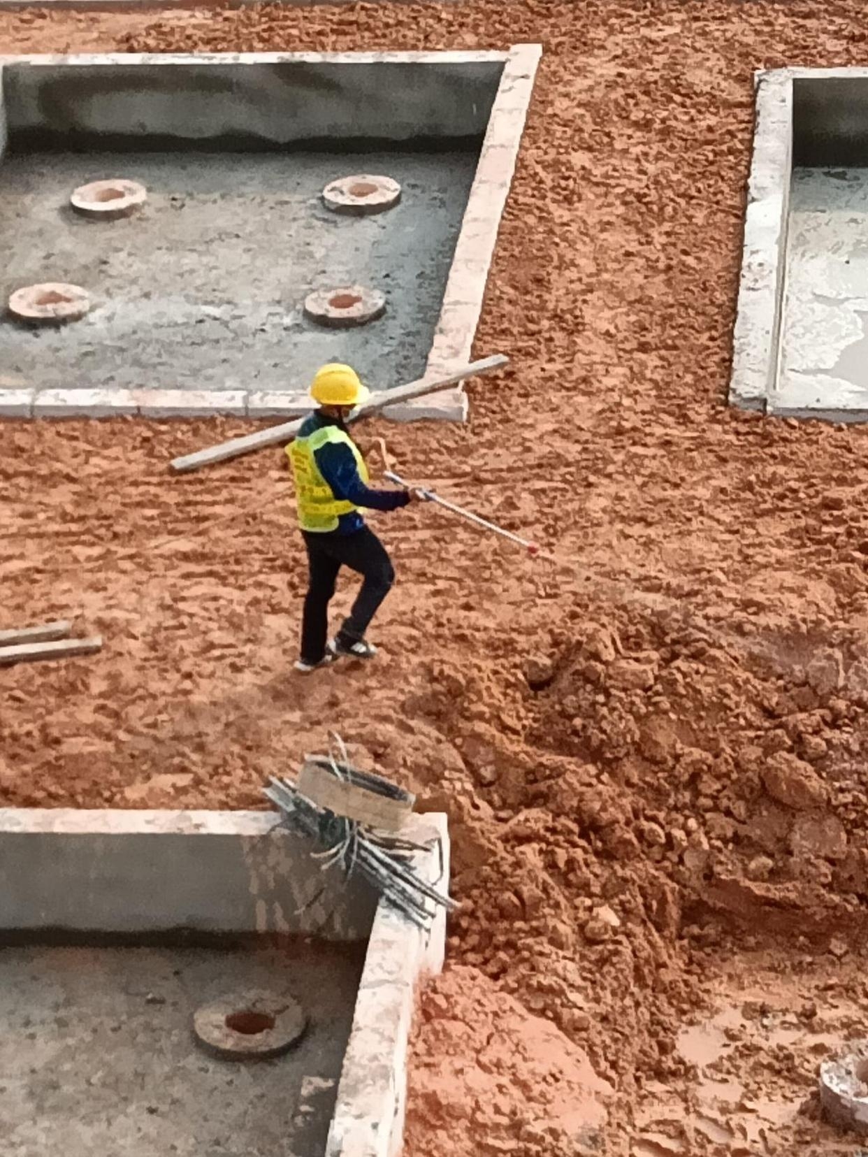 珠海白蚁防治中心电话 珠海白蚁防治中心电话