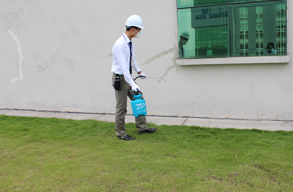 专业除虫公司教你防治多脚马陆 专业除虫公司教你防治多脚马陆