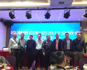 南水镇专业的治理白蚁公司
